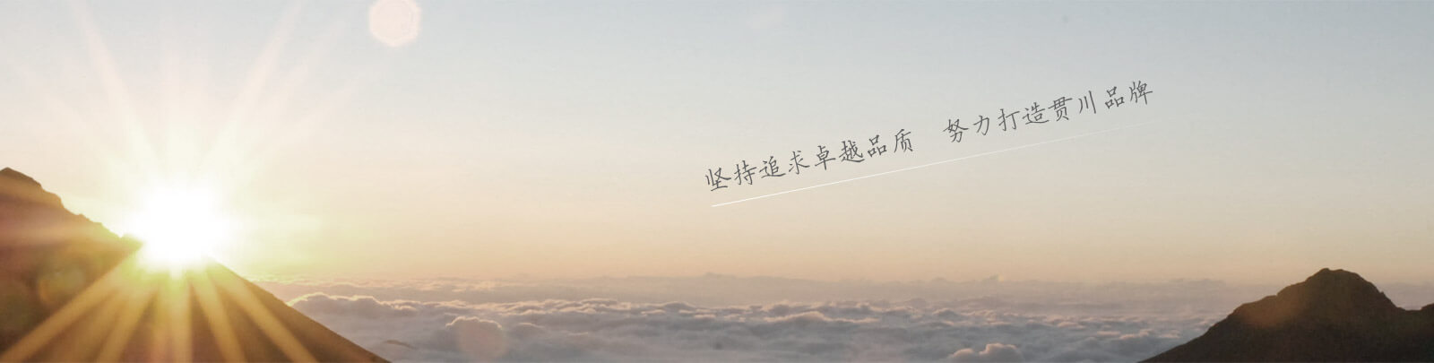 在线留言